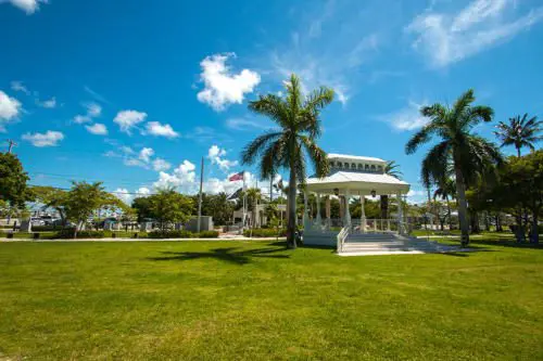 Sunny park with palm trees and a white gazebo under a blue sky.